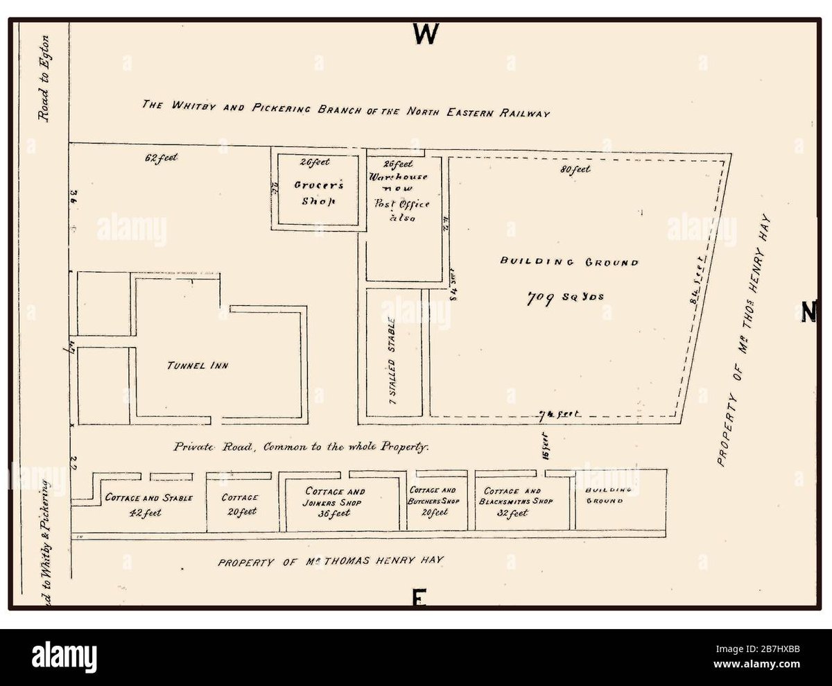How Old Is Giyu Tomioka from Demon Slayer Not Chainsaw Man